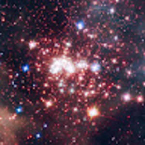 Meet your Posher, Tommy